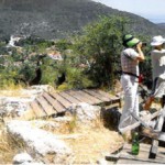 ΕΙΚΟΝΕΣ ΝΤΡΟΠΗΣ ΣΤΟ ΧΩΡΟ ΤΟΥ ΟΔΥΣΣΕΙΑΚΟΥ ΑΝΑΚΤΟΡΟΥ ΣΤΗΝ ΙΘΑΚΗ