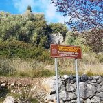 ΑΞΙΟΛΟΓΟΥΝΤΑΙ ΤΑ ΕΥΡΗΜΑΤΑ ΤΩΝ ΑΝΑΣΚΑΦΩΝ
